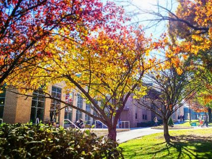 Picture of Facility Rentals (Classrooms, Conference Rooms, Cougar Grille, Gym, Softball)