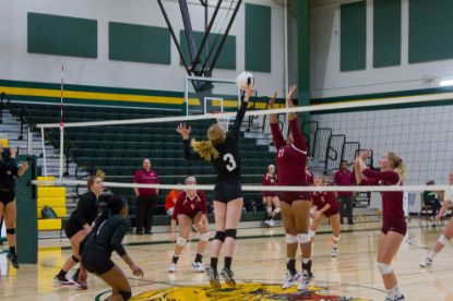 Picture of Women's Volleyball Equipment Payment