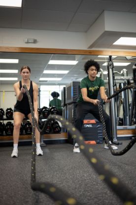 Picture of Human Performance Lab Testing Payment