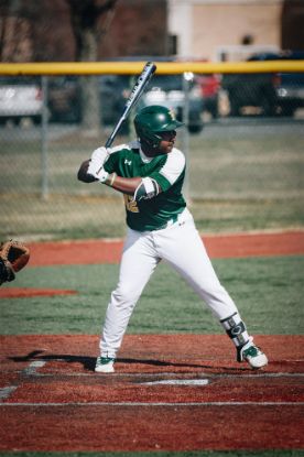 Picture of Baseball - Spring 26 Trip